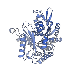 14150_7qup_1D_v1-2
D. melanogaster 13-protofilament microtubule
