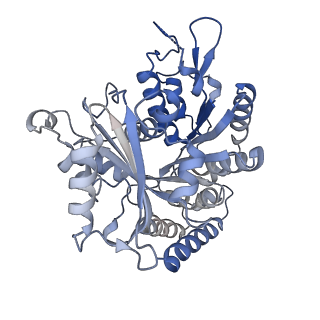 14150_7qup_1E_v1-2
D. melanogaster 13-protofilament microtubule