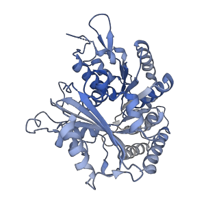 14150_7qup_2A_v1-2
D. melanogaster 13-protofilament microtubule