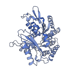 14150_7qup_2B_v1-2
D. melanogaster 13-protofilament microtubule