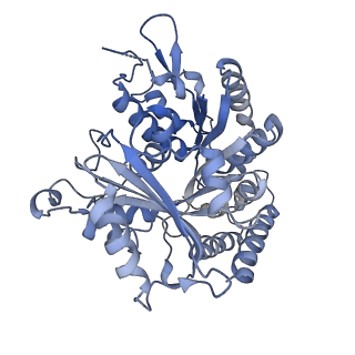 14150_7qup_2C_v1-2
D. melanogaster 13-protofilament microtubule