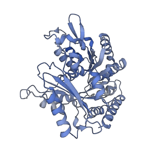 14150_7qup_2D_v1-2
D. melanogaster 13-protofilament microtubule