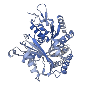 14150_7qup_2E_v1-2
D. melanogaster 13-protofilament microtubule