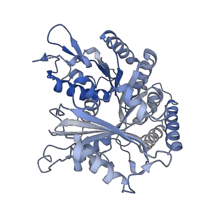 14150_7qup_3A_v1-2
D. melanogaster 13-protofilament microtubule