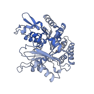 14150_7qup_3B_v1-2
D. melanogaster 13-protofilament microtubule