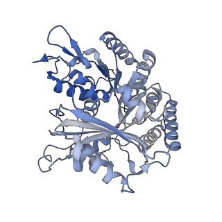 14150_7qup_3C_v1-2
D. melanogaster 13-protofilament microtubule
