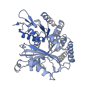 14150_7qup_3E_v1-2
D. melanogaster 13-protofilament microtubule