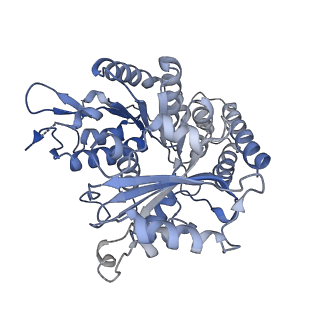 14150_7qup_4A_v1-2
D. melanogaster 13-protofilament microtubule