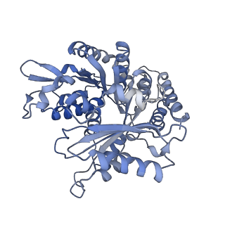 14150_7qup_4B_v1-2
D. melanogaster 13-protofilament microtubule