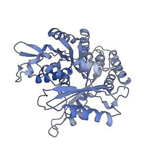 14150_7qup_4D_v1-2
D. melanogaster 13-protofilament microtubule
