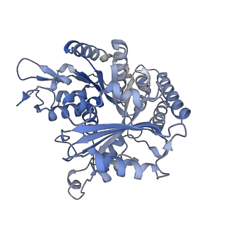 14150_7qup_4E_v1-2
D. melanogaster 13-protofilament microtubule