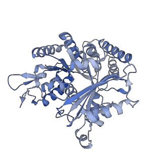 14150_7qup_5A_v1-2
D. melanogaster 13-protofilament microtubule