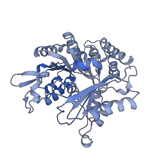 14150_7qup_5B_v1-2
D. melanogaster 13-protofilament microtubule