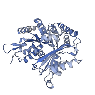 14150_7qup_5C_v1-2
D. melanogaster 13-protofilament microtubule