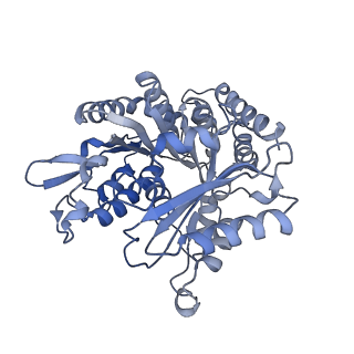 14150_7qup_5D_v1-2
D. melanogaster 13-protofilament microtubule