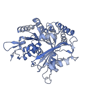 14150_7qup_5E_v1-2
D. melanogaster 13-protofilament microtubule