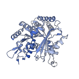 14150_7qup_6A_v1-2
D. melanogaster 13-protofilament microtubule