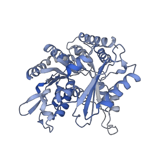 14150_7qup_6B_v1-2
D. melanogaster 13-protofilament microtubule