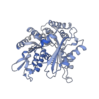 14150_7qup_6D_v1-2
D. melanogaster 13-protofilament microtubule