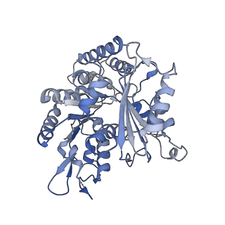 14150_7qup_7A_v1-2
D. melanogaster 13-protofilament microtubule
