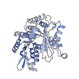 14150_7qup_7B_v1-2
D. melanogaster 13-protofilament microtubule