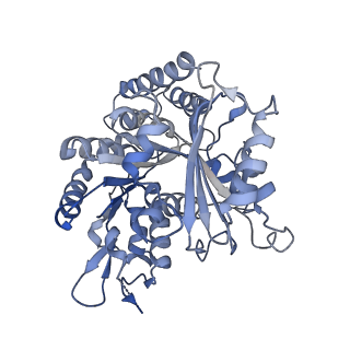 14150_7qup_7C_v1-2
D. melanogaster 13-protofilament microtubule