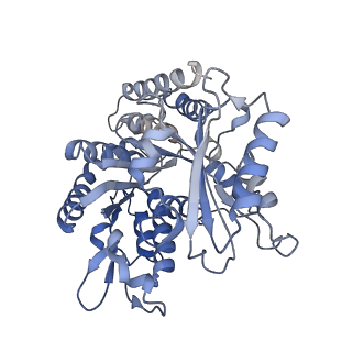 14150_7qup_7D_v1-2
D. melanogaster 13-protofilament microtubule