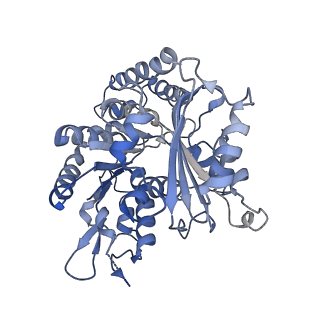 14150_7qup_7E_v1-2
D. melanogaster 13-protofilament microtubule