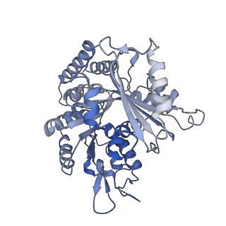 14150_7qup_8A_v1-2
D. melanogaster 13-protofilament microtubule