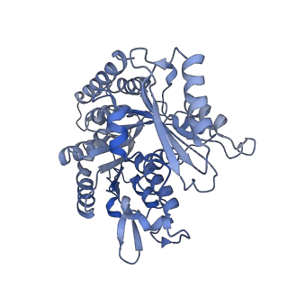 14150_7qup_8B_v1-2
D. melanogaster 13-protofilament microtubule