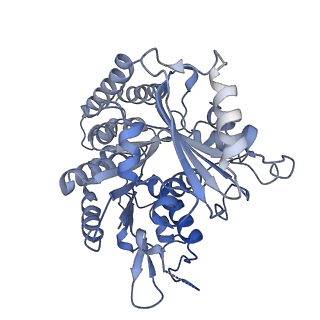 14150_7qup_8C_v1-2
D. melanogaster 13-protofilament microtubule