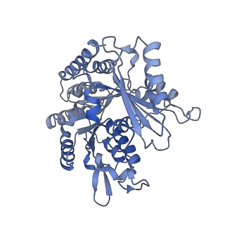 14150_7qup_8D_v1-2
D. melanogaster 13-protofilament microtubule