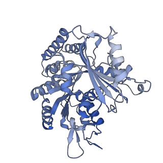14150_7qup_8E_v1-2
D. melanogaster 13-protofilament microtubule