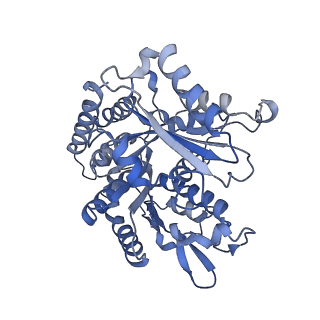 14150_7qup_9B_v1-2
D. melanogaster 13-protofilament microtubule