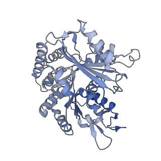 14150_7qup_9C_v1-2
D. melanogaster 13-protofilament microtubule