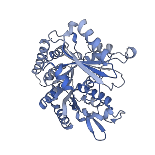 14150_7qup_9D_v1-2
D. melanogaster 13-protofilament microtubule