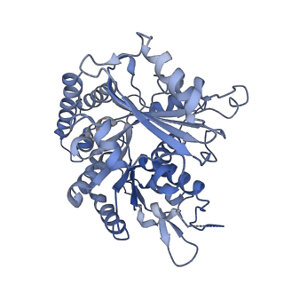 14150_7qup_9E_v1-2
D. melanogaster 13-protofilament microtubule