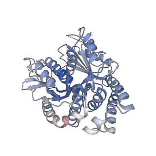 14151_7quq_A_v1-1
BtubA(R284G,K286D,F287G):BtubB bacterial tubulin M-loop mutant forming a single protofilament (Prosthecobacter dejongeii)