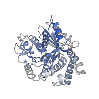 14151_7quq_B_v1-1
BtubA(R284G,K286D,F287G):BtubB bacterial tubulin M-loop mutant forming a single protofilament (Prosthecobacter dejongeii)