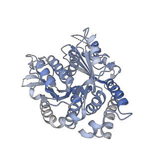 14151_7quq_C_v1-1
BtubA(R284G,K286D,F287G):BtubB bacterial tubulin M-loop mutant forming a single protofilament (Prosthecobacter dejongeii)