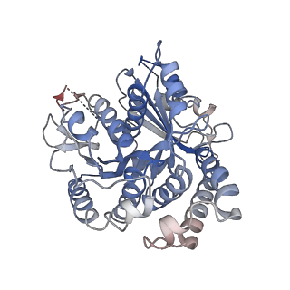 14151_7quq_D_v1-1
BtubA(R284G,K286D,F287G):BtubB bacterial tubulin M-loop mutant forming a single protofilament (Prosthecobacter dejongeii)
