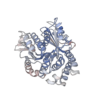 14151_7quq_E_v1-1
BtubA(R284G,K286D,F287G):BtubB bacterial tubulin M-loop mutant forming a single protofilament (Prosthecobacter dejongeii)