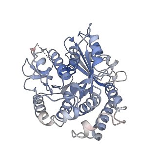 14151_7quq_F_v1-1
BtubA(R284G,K286D,F287G):BtubB bacterial tubulin M-loop mutant forming a single protofilament (Prosthecobacter dejongeii)