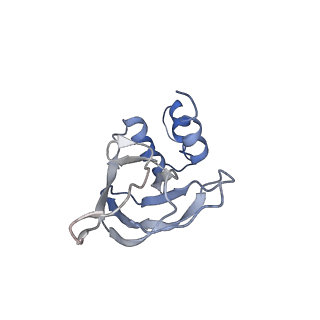 18657_8qu8_A_v1-1
PROTAC-mediated complex of KRAS with VHL/Elongin-B/Elongin-C/Cullin-2/Rbx1