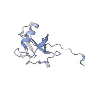 18657_8qu8_B_v1-1
PROTAC-mediated complex of KRAS with VHL/Elongin-B/Elongin-C/Cullin-2/Rbx1