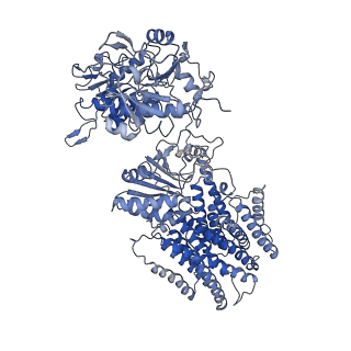 4637_6que_A_v1-3
Structure of ovine transhydrogenase in the presence of NADP+ in a "single face-down" conformation