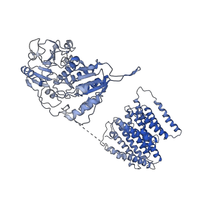 4637_6que_B_v1-3
Structure of ovine transhydrogenase in the presence of NADP+ in a "single face-down" conformation