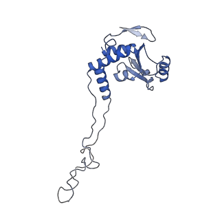 4638_6qul_E_v1-2
Structure of a bacterial 50S ribosomal subunit in complex with the novel quinoxolidinone antibiotic cadazolid