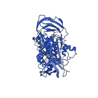 4640_6qum_A_v1-2
Thermus thermophilus V/A-type ATPase/synthase, rotational state 1