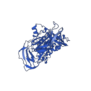 4640_6qum_B_v1-2
Thermus thermophilus V/A-type ATPase/synthase, rotational state 1